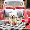 PetShop by Fringe Studio dog toys I Wanna Be A Baller Football Plush Squeak Dog Toy