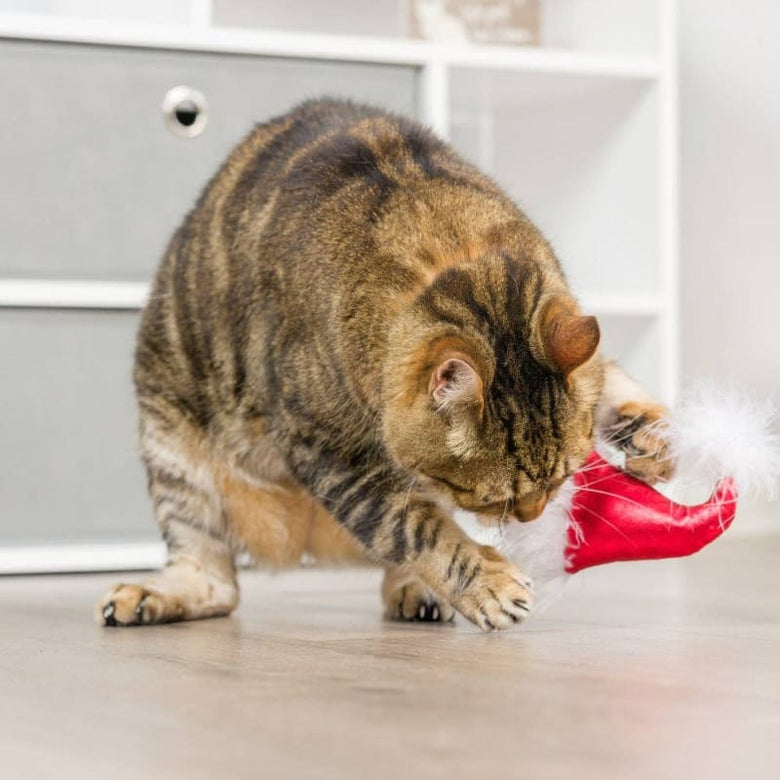 Huxley & Kent Cat Toys Holiday Santa Hat & Sweet Thing Cat Toy Set - 2 Pk
