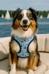Parisian Pet® Harnesses Sailboats Freedom Ocean Blue Dog Harness