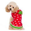 Dogo Pet Sweaters 2XL Strawberry Dog Sweater - Only Available in Size 2XL