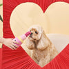 Hugsmart Products Inc Dog Toys Makeup Collection Pink Lip Stick Rope Plush Squeak Dog Toy