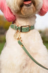 Neighborwoof Leash Beverly Hills Soft Pink & Green Handcrafted Leather Gold Hardware Dog Leash: 3/4"