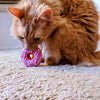 Strawberry Pink Donut Plush Cat Toy