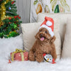 Hugsmart Products Inc dog toys Happy Woofmas Penguin Ball Plush Dog Toy