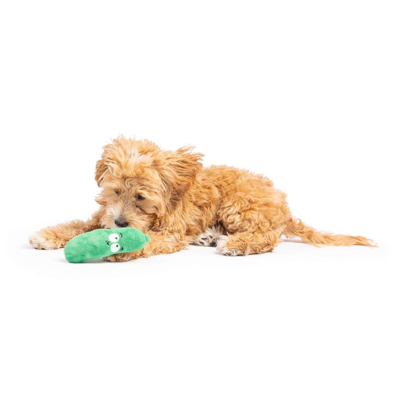 Huxley & Kent Dog Toys Tiny Tuff Green Dell Pickle Plush Squeak Dog Toy