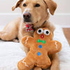 Christmas Holiday Ginger Snapped Plush Squeak Dog Toy - Lg
