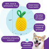 Outward Hound dog toys Dental Yellow Pineapple Interactive Rope Tug and Treat Dog Chew Toy