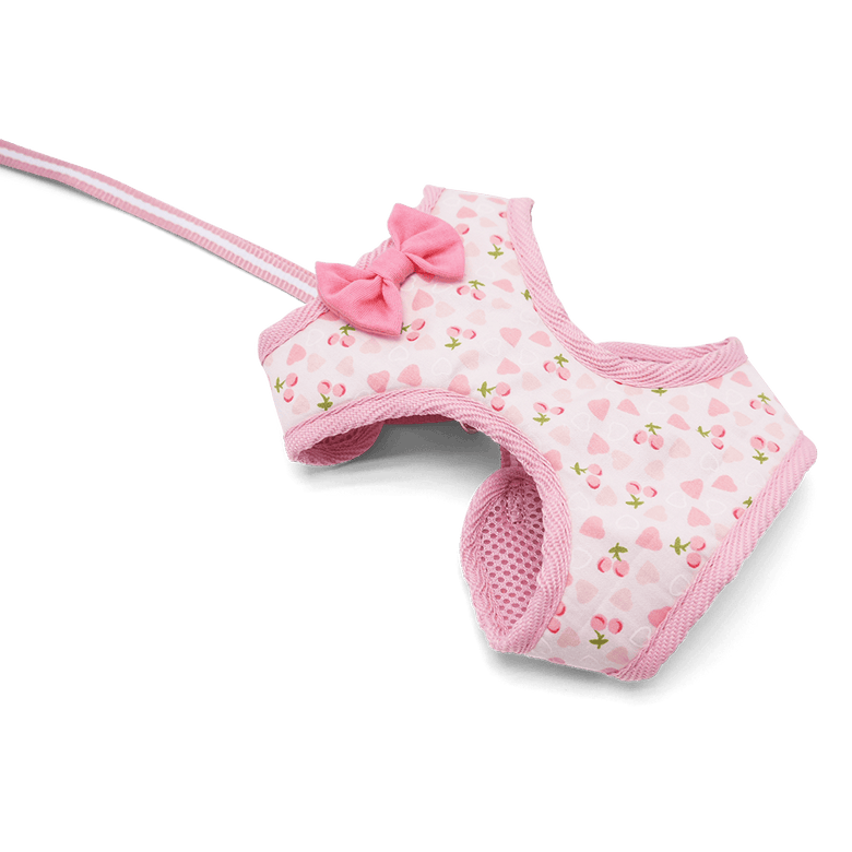 DogoPet.com EasyGO Harness EasyGO Cherish Heart