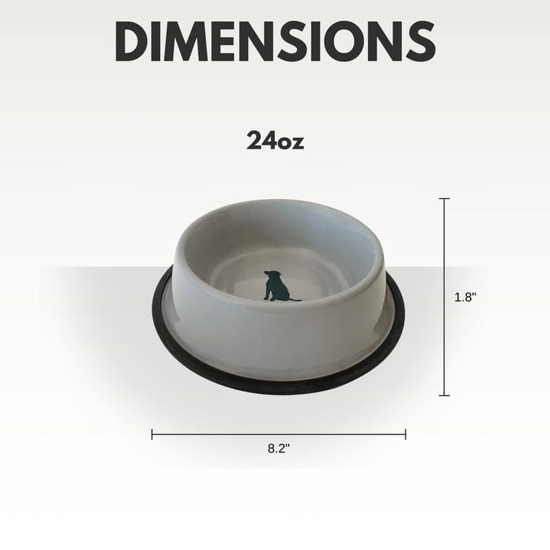 JoJo Modern Pets Bowls Non Skid Cool Gray Bowl with Teal Dog Design