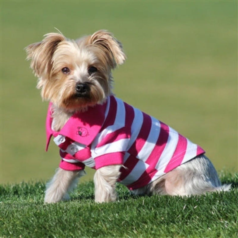 Doggie Design, Inc Collared Shirts Colored Striped 100% Cotton Dog Polo Shirts - 3 Colors