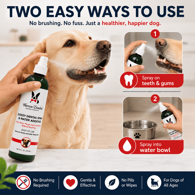 Warren London Spa Product Doggy Dental Spray & Water Additive