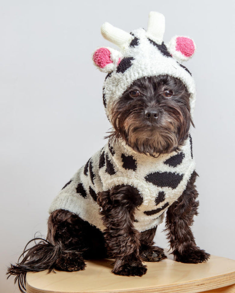 Chenille Cow Hoodie Soft Dog Sweater