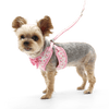 DogoPet.com EasyGO Harness EasyGO Cherish Heart