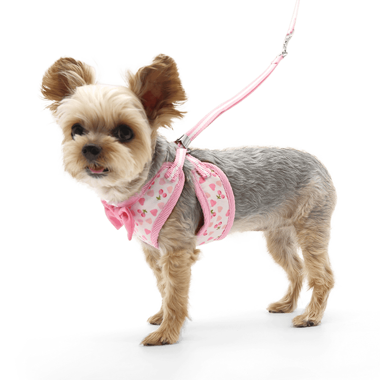 DogoPet.com EasyGO Harness EasyGO Cherish Heart
