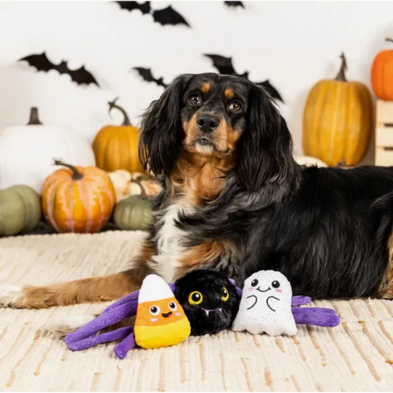 PetShop by Fringe Studio dog toys Halloween Frightly Friends Plush Squeak Dog Toy Set - 3 Pc