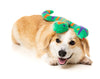 Hissy Elliot Snakey Plush Squeaky Dog Toy - 2 Sizes