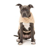 FuzzYard SWEATERS Soft Beige Teddy Wrap Fleece Dog Vest