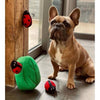 Burrow Ladybug in Leaf Interactive Plush Squeaky Dog Toy Set - 4 Pc