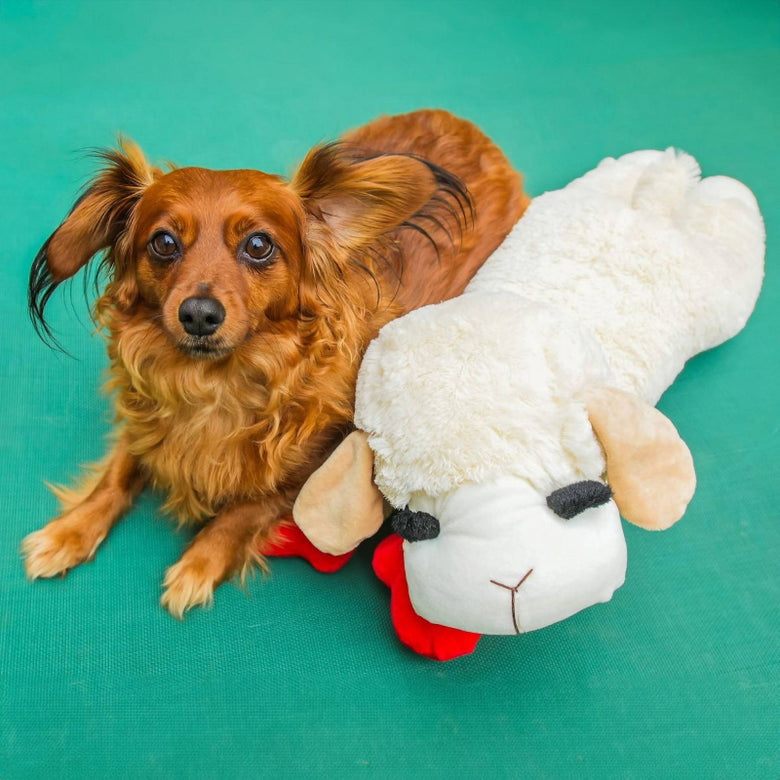 Lamb Chop Plush Squeaky Classic Dog Toy - Jumbo Size 24"