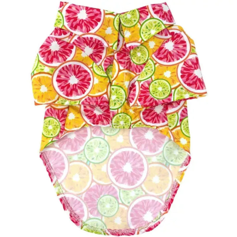Doggie Design, Inc Collared Shirts Hawaiian Citrus Slices Colorful Camp Dog Shirt