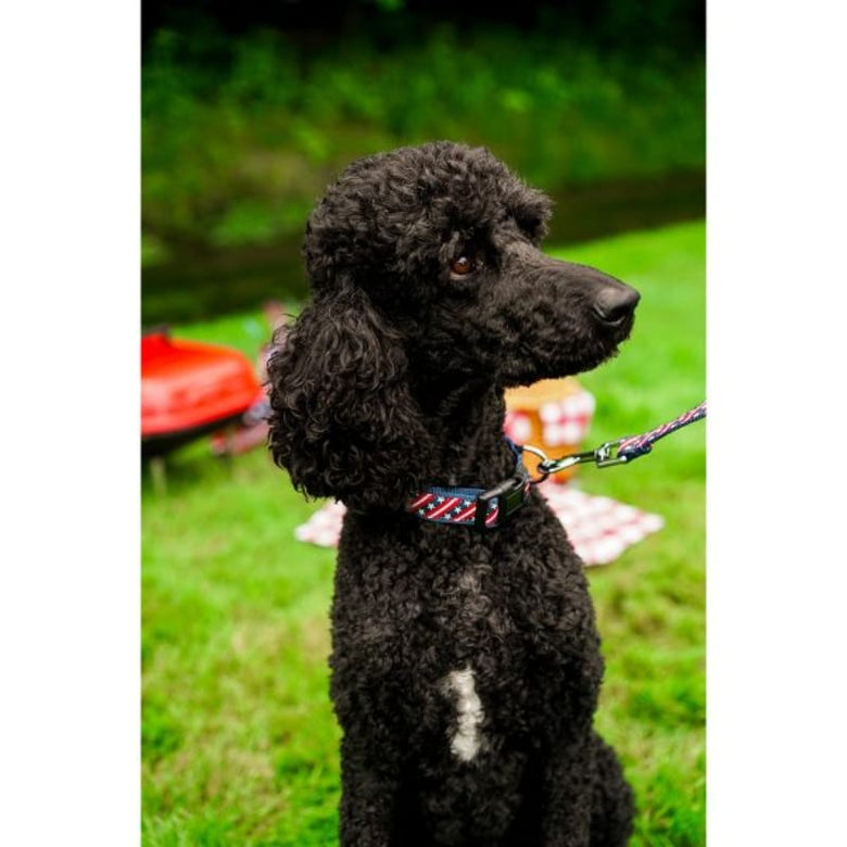The Worthy Dog Leashes Stars and Stripes Patriotic Red White Blue Dog Collar