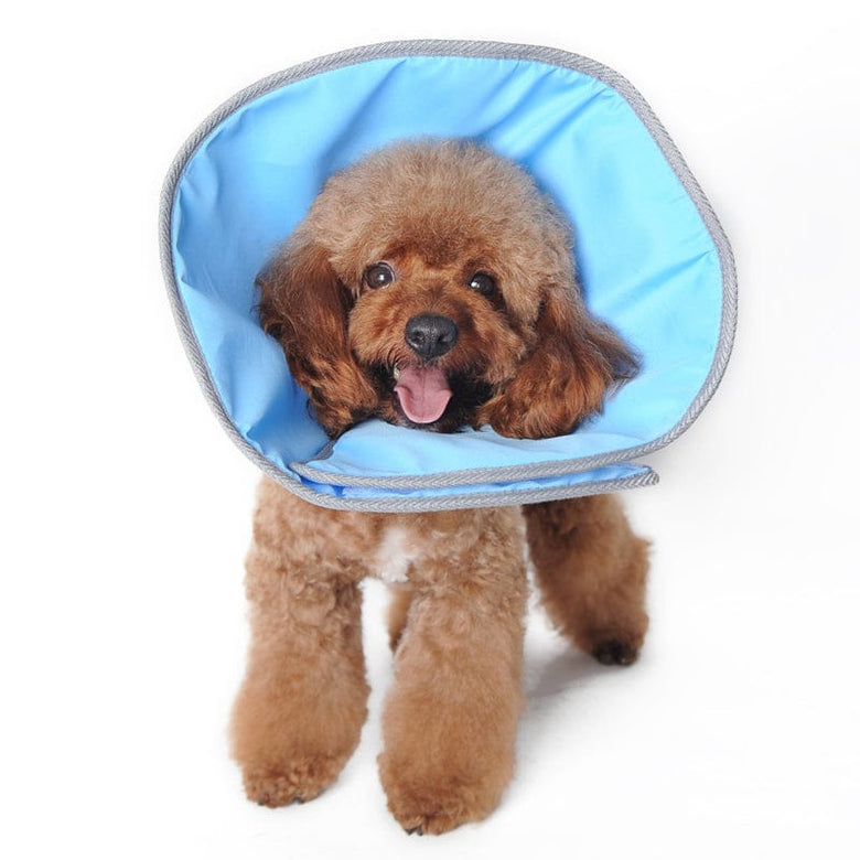 DogoPet.com Recovery E-Collar Get Better Recovery E-Collar