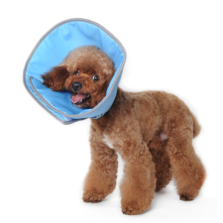 DogoPet.com Recovery E-Collar Get Better Recovery E-Collar