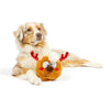Reindeer Cookie Christmas Holiday Plush Squeaky Dog Toy (Double Sided) - 2 Sizes