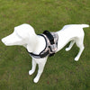 AE-SENYEPETS Harnesses Tan Plaid Chest Harness with Side Pocket
