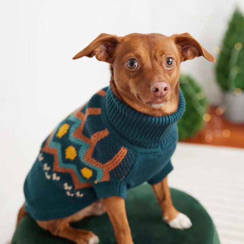 GF Pet Dog Apparel Heritage Teal Dog Sweater