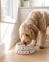 White Chewy Stylish Pet Bowl in 3 Sizes