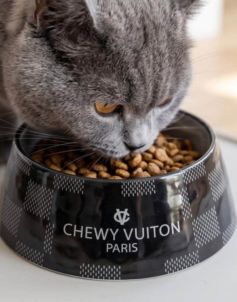 Black Checker Chewy Stylish Pet Bowl - Size Medium