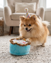Birthday Boy Blue Cake Plush Squeaky Dog Toy - 2 Sizes