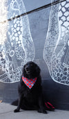 Dog Bandana Co. Nashville Tennessee Dog Bandana