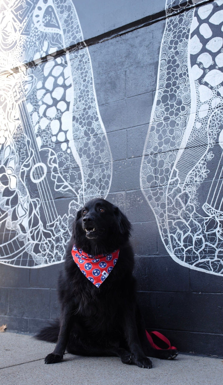 Dog Bandana Co. Nashville Tennessee Dog Bandana