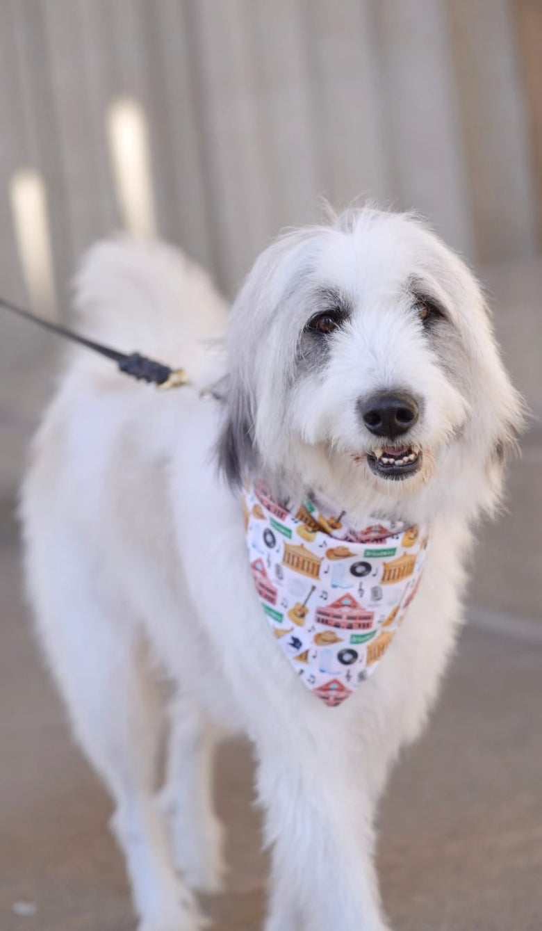 Dog Bandana Co. Nashville Tennessee Dog Bandana