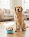 Birthday Boy Blue Cake Plush Squeaky Dog Toy - 2 Sizes