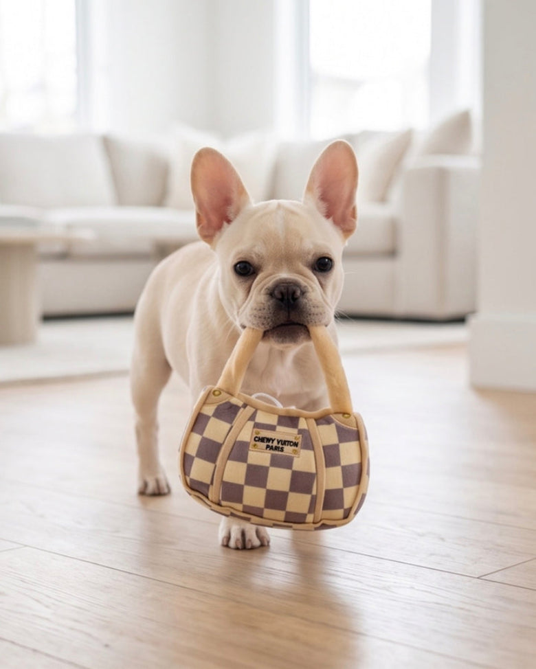 Checker Chewy Handbag Plush Squeaky Dog Toy - 3 sizes
