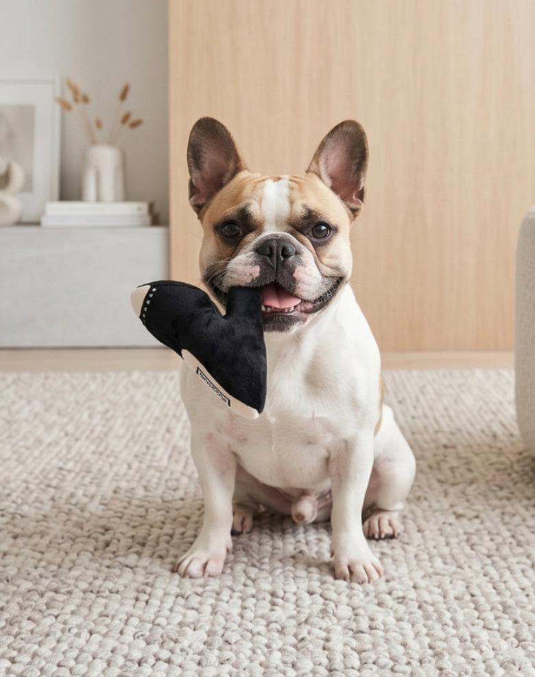 Jimmy Chew Black Shoe Plush Squeaky Dog Toy - 2 Sizes
