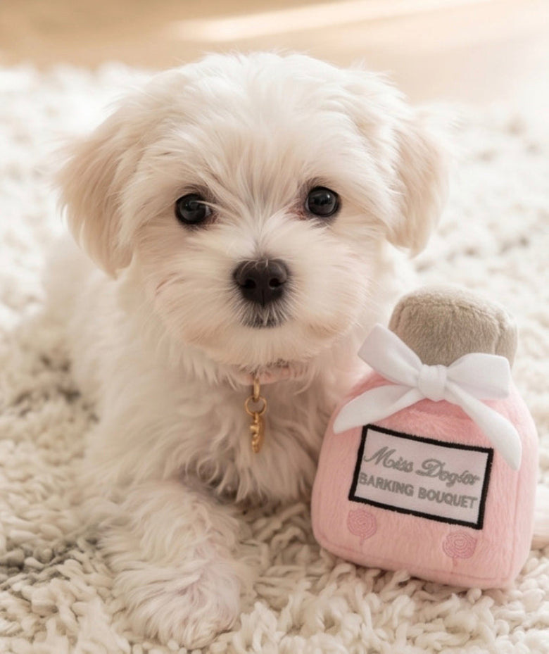 Miss Dog-ior Pawfum Bottle Plush Squeak Dog Toy