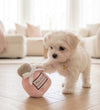 Miss Dog-ior Pawfum Bottle Plush Squeak Dog Toy