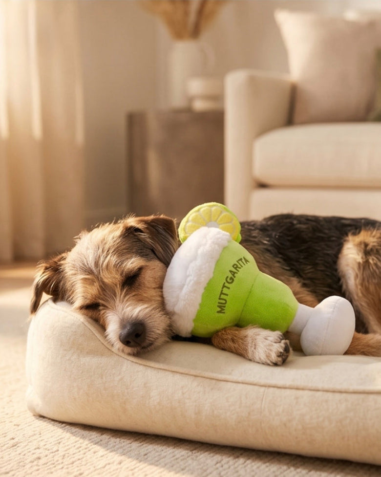 Muttgarita with a Lemon Plush Squeaky Dog Toy