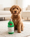 Tanqueruff Plush Squeaky Dog Toy