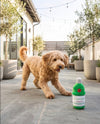 Tanqueruff Plush Squeaky Dog Toy