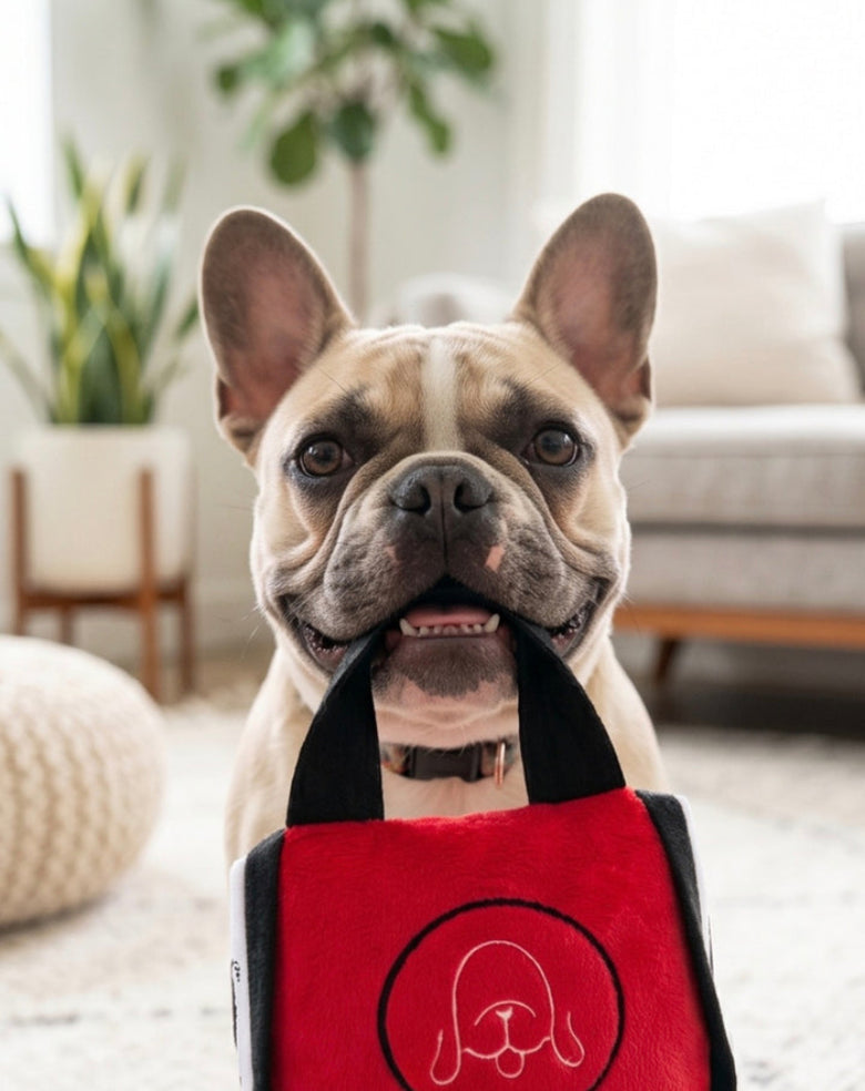 Chewlulemon Red Tote Bag Plush Squeaky Dog Toy