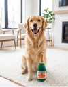 Woof Clicquot Rose' Bottle Plush Squeaky Dog Toy - 3 Sizes