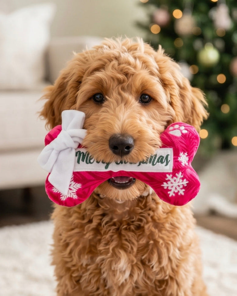 Puppermint Bone Original (Merry Christmas) Plush Squeaky Holiday Dog Toy