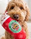Starbarks Snickerdoodle Frappawccino Holiday Christmas Plush Squeaky Dog Toy