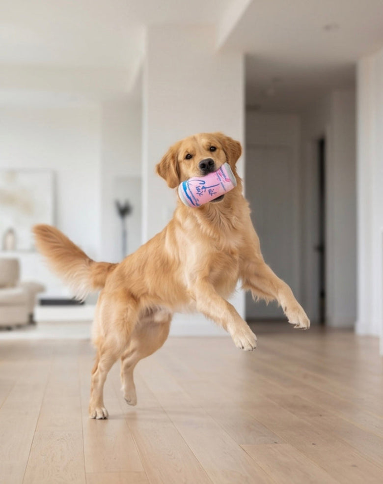 LickCroix Barking Berry Barkling Water Squeaker Plush Dog Toy - 2 Sizes