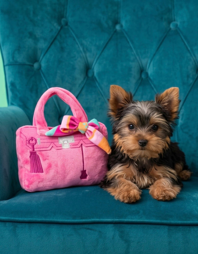 Barkin Bag Pink w/ Scarf Plush Squeaky Dog Toy